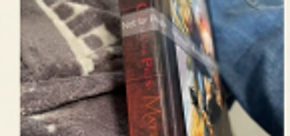 Book spine, dark red cover